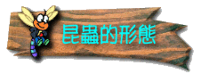 ЩΨ骺cy
