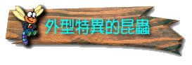 ݬݤ@ǩ_ΩǪΧaI