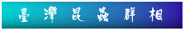 OWθs